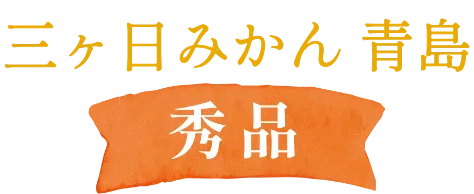 三ヶ日みかん青島-秀品-