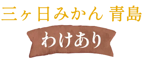 三ヶ日みかん青島-わけあり-