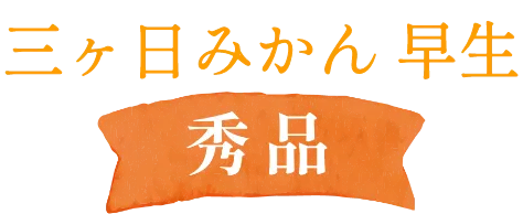 三ヶ日みかん早生-秀品-