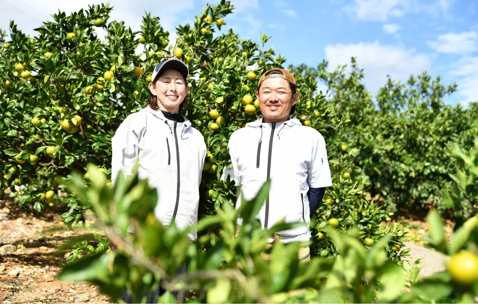 三ヶ日みかん生産者山口一門さん