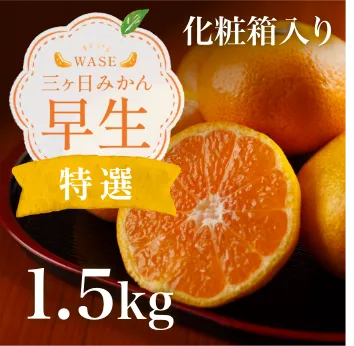 三ヶ日みかん早生-特選-1.5kg