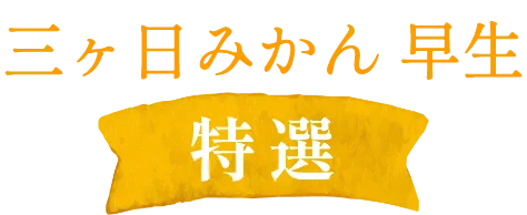 三ヶ日みかん早生-特選-