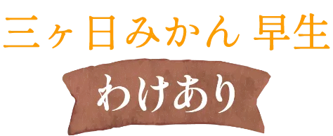 三ヶ日みかん早生-わけあり-