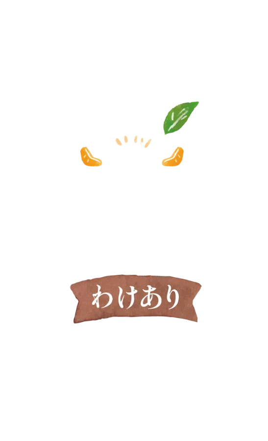 三ヶ日みかん早生-美味しさのヒミツ-