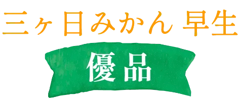 三ヶ日みかん早生-優品-