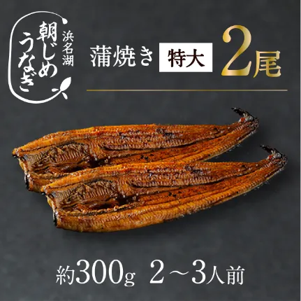 【国産】朝じめうなぎ蒲焼き特大2尾（約300g）