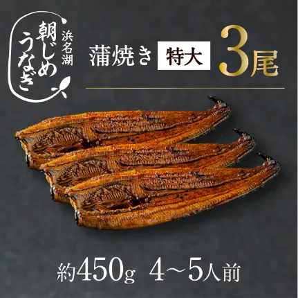 【国産】朝じめうなぎ蒲焼き特大3尾（約450g）