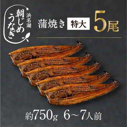 【国産】朝じめうなぎ蒲焼き特大5尾（約750g）