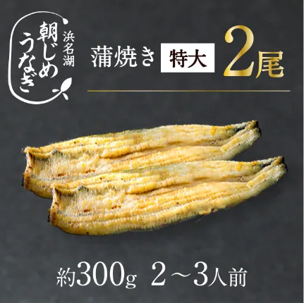 【国産】朝じめうなぎ白焼き特大2尾（約300g）