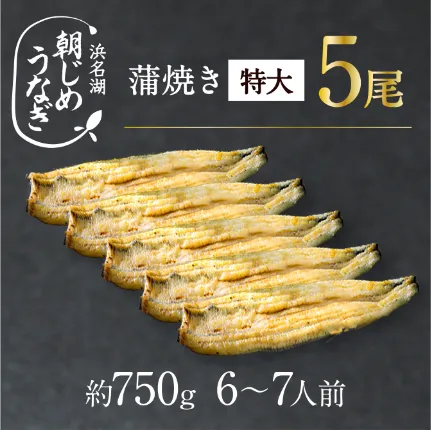 【国産】朝じめうなぎ白焼き特大5尾（約750g）