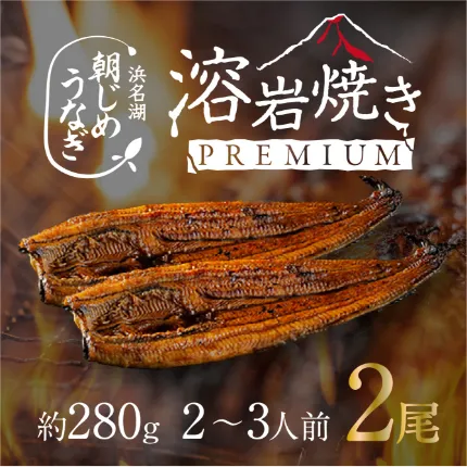 【国産】浜名湖産溶岩焼き蒲焼き特大2尾（約300g）