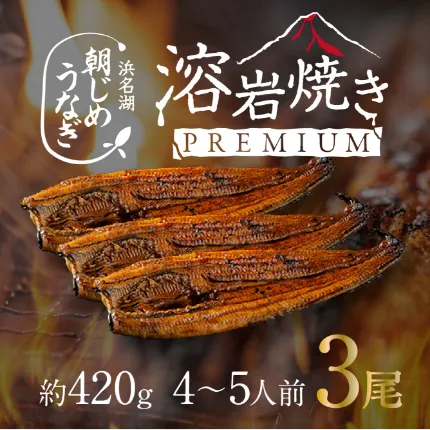 【国産】浜名湖産溶岩焼き蒲焼き特大3尾（約450g）