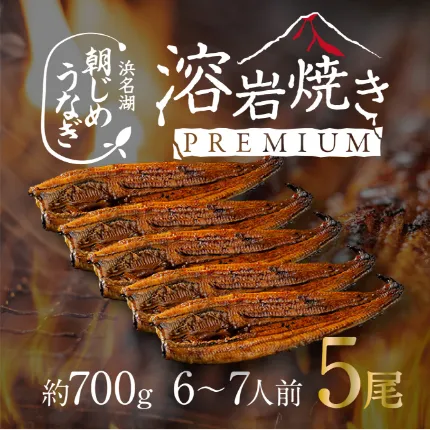 【国産】浜名湖産溶岩焼き蒲焼き特大5尾（約750g）