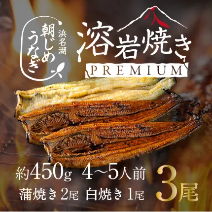 【国産】浜名湖産溶岩焼き蒲焼き2尾＋白焼き1尾