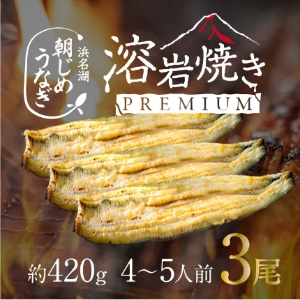 【国産】浜名湖産溶岩焼き白焼き特大3尾（約450g）